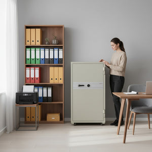 Dokumentskåp Diplomat NGS 270 (Beg.)
