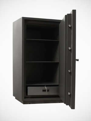 Dokumentskåp RFS 120