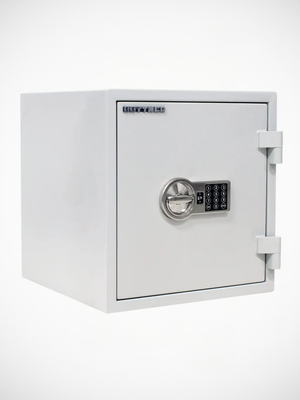 Stöldskyddsskåp SR 460E
