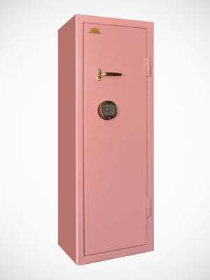 Vapenskåp SP 66 Lyx paket