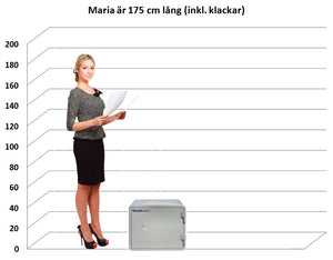 Dokumentskåp CSE 25K