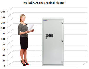 Dokumentskab CSO 385E
