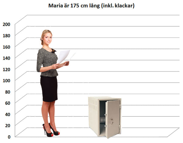 Serverskab DSS 550