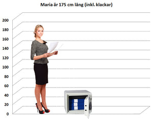 Dokumentskåp DS 36E
