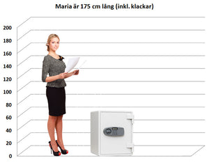 Dokumentskåp DS 52E