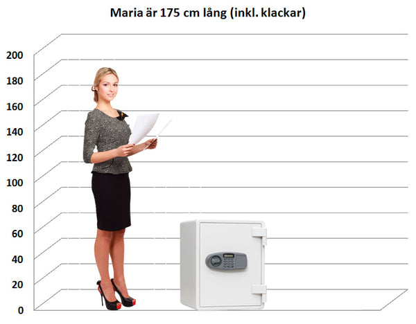Dokumentskåp DS 52E