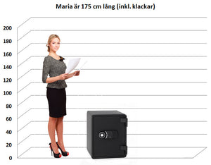 Dokumentskåp DS 52EB