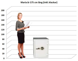 Dokumentskåp ES 045