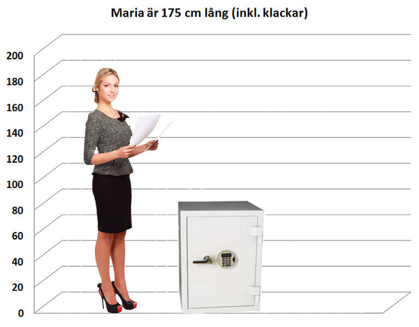 Dokumentskåp ES 045