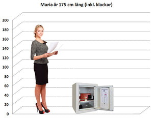 Säkerhetsskåp ES 11