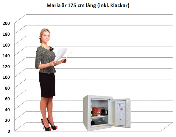 Säkerhetsskåp ES 11