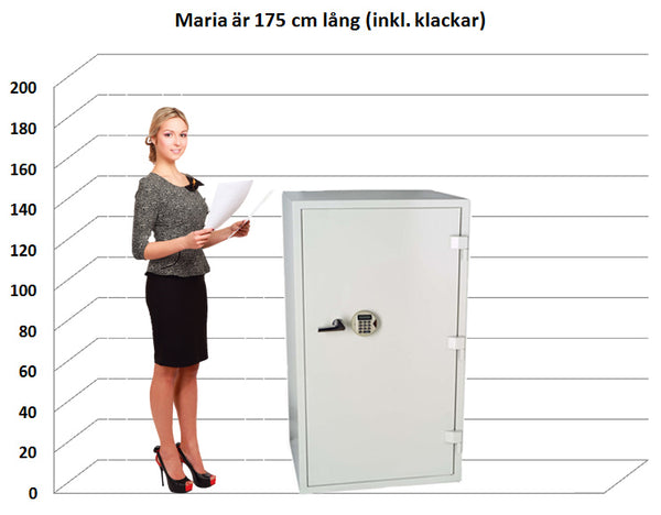 Dokumentskåp ES 200