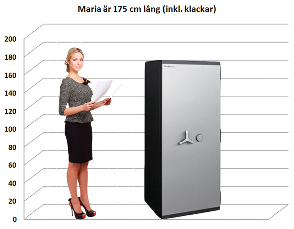 Värdeskåp PG Plus 350