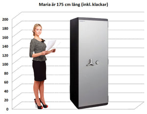 Värdeskåp PG Plus 450