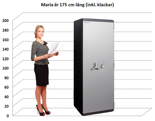 Värdeskåp PG Plus 450