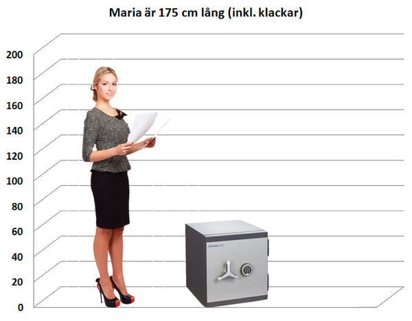 Värdeskåp PG Plus 60